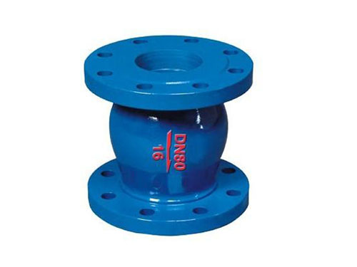 Silent Check Valve
